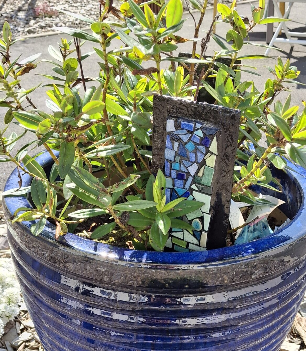 Création au jardin de l'Ehpad du Haut Léon de Roscoff