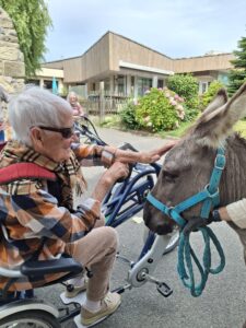 EHPAD Saint Pol de Léon médiation animale
