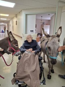 EHPAD de Saint Pol de Léon la médiation animale